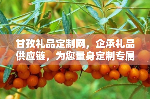 甘孜礼品定制网，企承礼品供应链，为您量身定制专属礼品